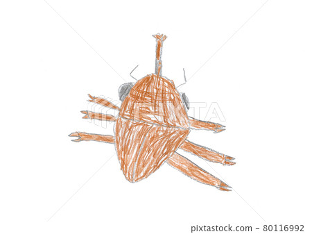 Illustration of a beetle drawn by a 6-year-old boy 80116992