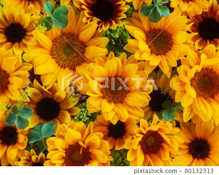 迷你向日葵和四葉草的插花 80132313