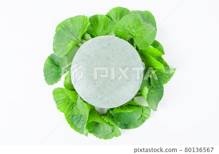 Soap centella asiatice with fresh green leaf centella. Soap centella asiatice with fresh green leaf centella. 80136567