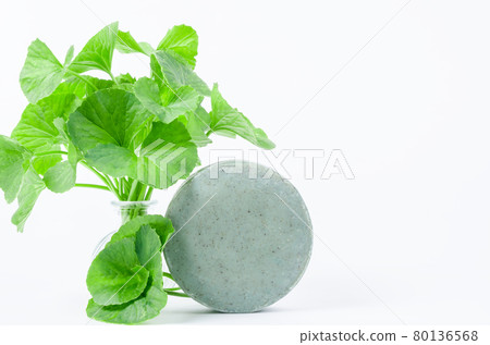 Soap centella asiatice with fresh green leaf centella. 80136568