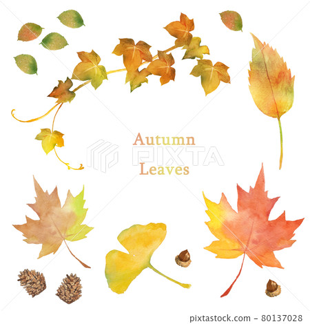 秋葉水彩集 80137028