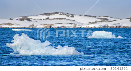 Drift floating Ice and Snowcapped Mountains, Arctic, Svalbard, Norway 80141221