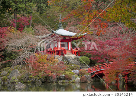 Zen temple of autumn leaves Zen temple of autumn leaves 80145214
