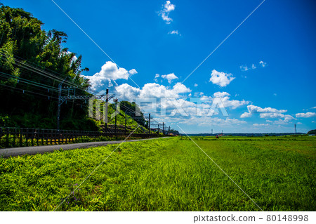 Rural scenery in Sakura City, Chiba Prefecture 80148998