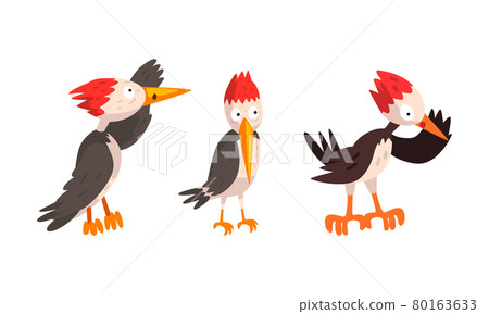 Funny Woodpecker Bird Character Set, Comic Woodland Bright Bird Cartoon Vector Illustration 80163633