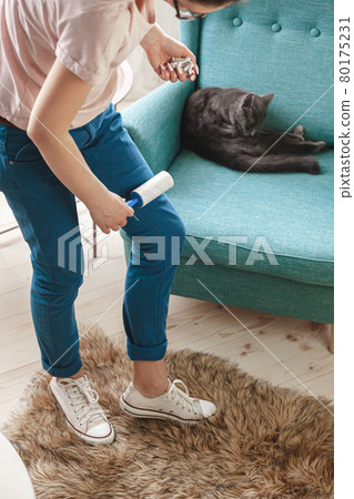 Woman cleaning clothes with sticky roller from cats hair.Cleanin Woman cleaning clothes with sticky roller from cats hair.Cleanin 80175231