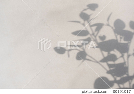 Plant silhouette reflected on wall 80191017