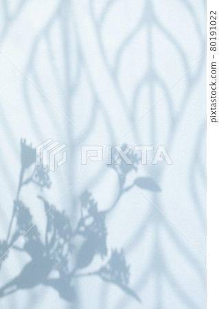 牆上反射的植物和織物圖案的輪廓 80191022
