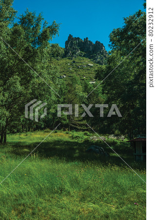 Landscape with rocky cliffs and tree forest Landscape with rocky cliffs and tree forest 80232912