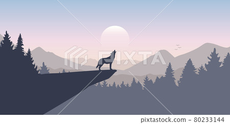 wolf howls to the full moon in forest on mountain landscape 80233144