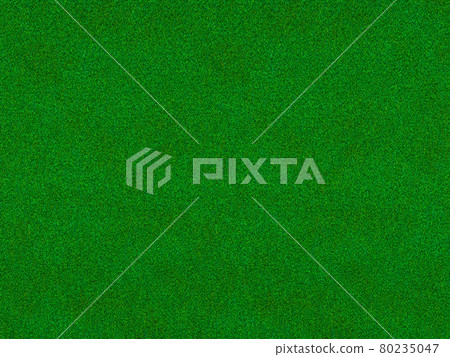 Lawn texture 80235047