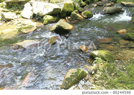 Mountain stream in a natural park Mountain stream in a natural park 80244598
