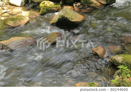 自然公園中的山間溪流 自然公園中的山間溪流 80244600