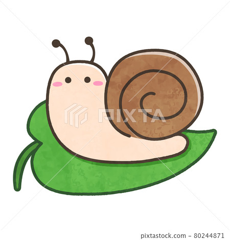 葉子上的蝸牛 80244871