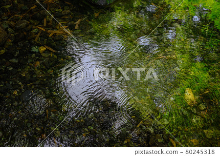 解凍的水湧出的瞬間[漣漪] 80245318