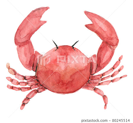 Watercolor red crab Watercolor red crab 80245514