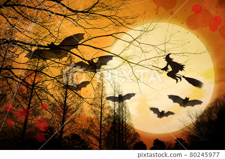 Bats, witches, spider webs and blood splatters in a suspicious orange sky Bats, witches, spider webs and blood splatters in a suspicious orange sky 80245977