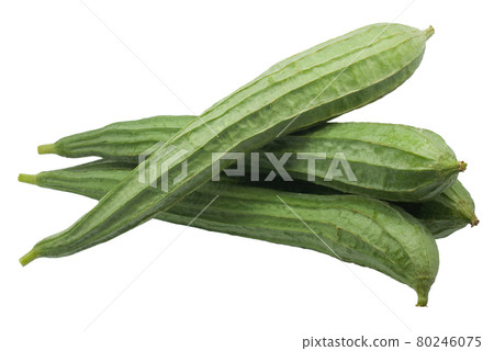 Green Luffa acutangula isolated on white background Green Luffa acutangula isolated on white background 80246075