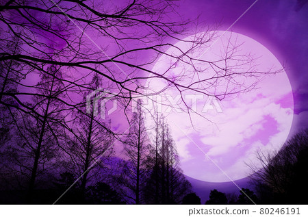 Purple creepy suspicious sky Purple creepy suspicious sky 80246191