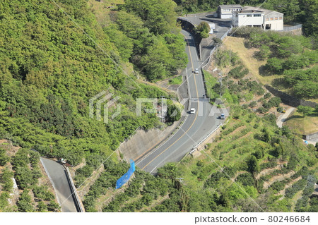 穿過橘子田的鄉間小路 穿過橘子田的鄉間小路 80246684