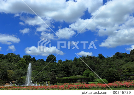 Blue sky and fountain 80246729