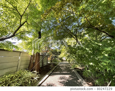 The precincts of a small temple in a residential area 80247229