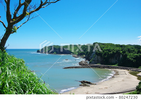 Red Month Bay (Isumi City, Chiba Prefecture) 80247230