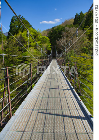 [Doshi Village, Yamanashi Prefecture] Kubotsuri Bridge 80247782