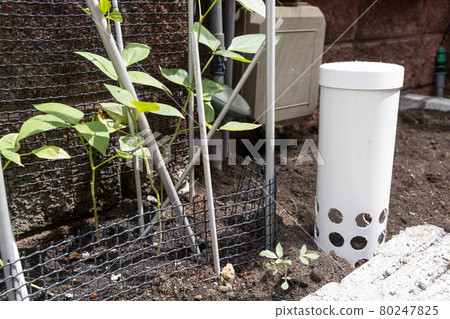 Worm tower with drilled holes placed in garden against plants Worm tower with drilled holes placed in garden against plants 80247825