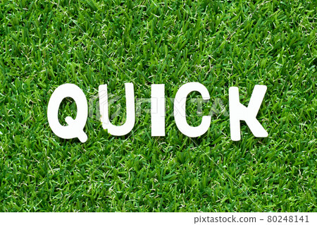 Wood alphabet letter in word quick on green grass background 80248141