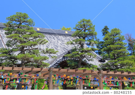 清涼的風鈴音（靜岡縣袋井市秋葉總本殿正殿） 80248155