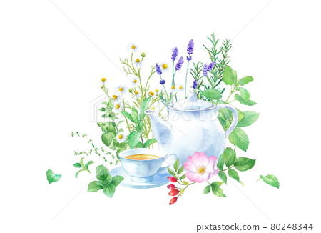 Watercolor illustration of herbal tea against the background of various herbs. (Camomile, mint rose hips, oregano, etc.) 80248344