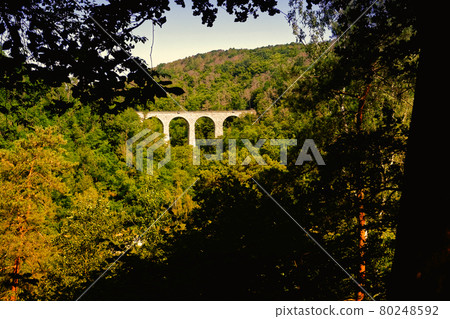 bridge for train over the valley with nature bridge for train over the valley with nature 80248592