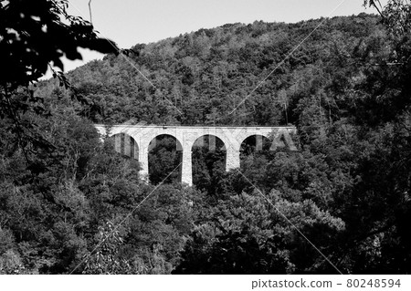 bridge for train over the valley with nature bridge for train over the valley with nature 80248594