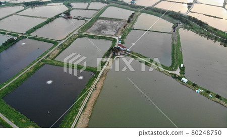 overcast sky with the fish pond in hong kong, yuen long, Tai Sang Wai 80248750