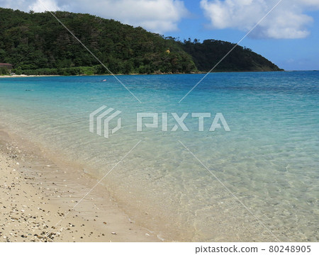 世界遺產奄美大島美麗的倉崎海岸，日本鹿兒島縣大島區達鄉鎮 80248905