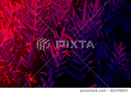 Tropical black light glowing leaves. 80249065