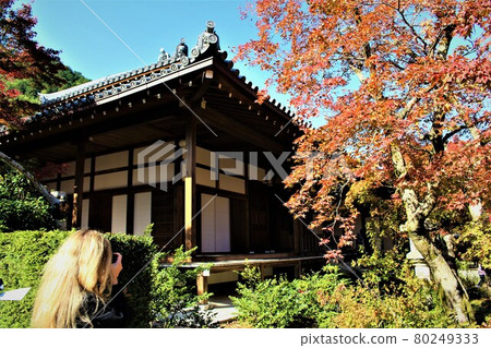 Autumn leaves of Jogakkoji Temple Autumn leaves of Jogakkoji Temple 80249333