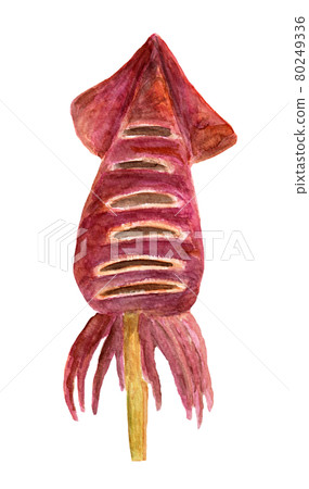 烤魷魚的水彩插圖 80249336