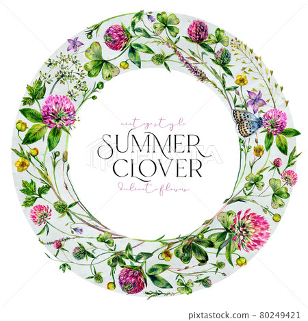 Watercolor Wildflower Wreath made of Clover Flowers and Leaves, Foliage, Greenery, Meadow Grass Isolated on White. 80249421