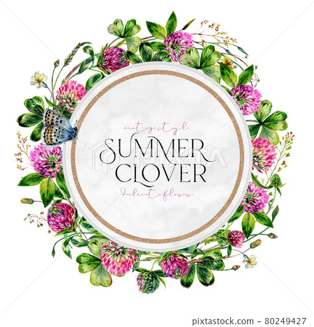 Watercolor Wildflower Wreath made of Clover Flowers and Leaves, Foliage, Greenery, Meadow Grass Isolated on White. 80249427