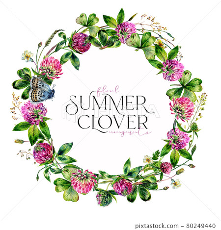 Watercolor Wildflower Wreath made of Clover Flowers and Leaves, Foliage, Greenery, Meadow Grass Isolated on White. 80249440