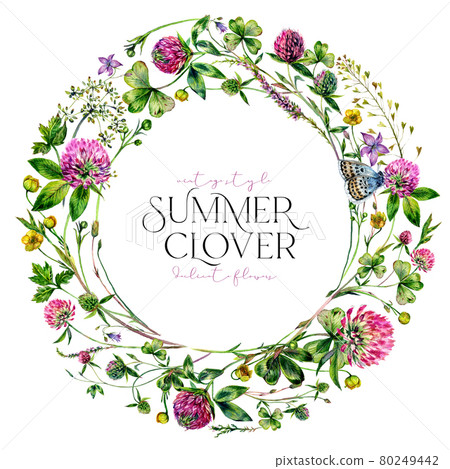 Watercolor Wildflower Wreath made of Clover Flowers and Leaves, Foliage, Greenery, Meadow Grass Isolated on White. 80249442