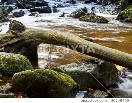 Bald tree trunk without bark lies on rounded stones over a deliberately defocused stream 80249709