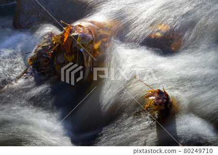Close-up of the white water of a flowing stream, with long exposure time Close-up of the white water of a flowing stream, with long exposure time 80249710