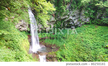Waterfall of Mt. Kawanori (Mt. Kawanori) in Okutama 80250181