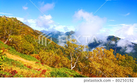 Autumn leaves of Mt. Kayagatake 80250192