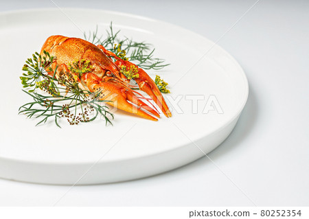 Close-up boiled orange crayfish with dill on a white plate on a white background. Cooked freshwater delicious crayfish with aromatic dill and spices. Blank for the menu. Organic wild food. Copy space Close-up boiled orange crayfish with dill on a white plate on a white background. Cooked freshwater delicious crayfish with aromatic dill and spices. Blank for the menu. Organic wild food. Copy space 80252354
