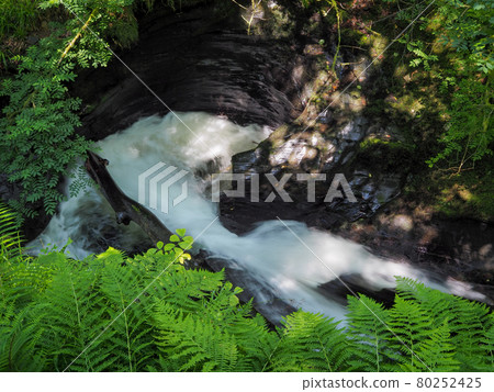Dramatic cascading river and rocks, Lydford Gorge, Dartmoor National Park, Devon Dramatic cascading river and rocks, Lydford Gorge, Dartmoor National Park, Devon 80252425