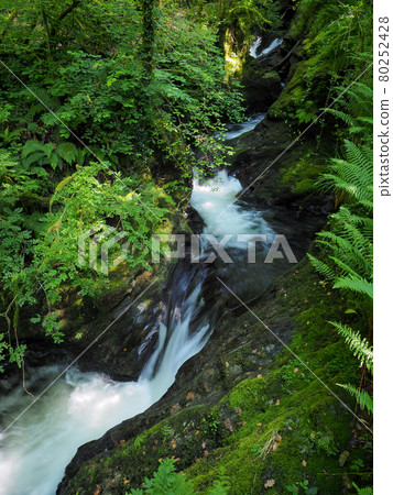 Dramatic cascading river and rocks, Lydford Gorge, Dartmoor National Park, Devon Dramatic cascading river and rocks, Lydford Gorge, Dartmoor National Park, Devon 80252428